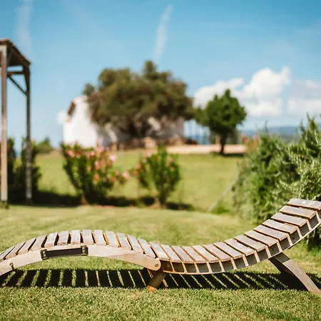 Villa Santu Martine With Pool Galtelli