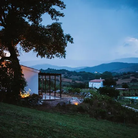 Santu Martine With Pool Villa Galtelli