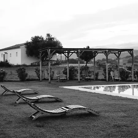 Santu Martine With Pool Villa Galtelli