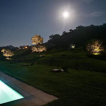 Santu Martine With Pool Villa Galtelli