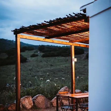 Villa Santu Martine With Pool Galtellì