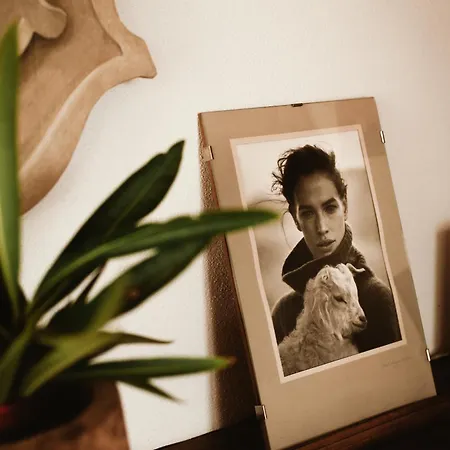 Santu Martine With Pool Galtellì