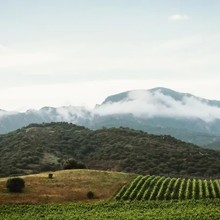 Santu Martine With Pool * Galtellì