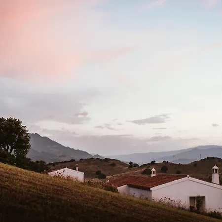 Villa Santu Martine With Pool Galtellì
