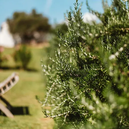 Santu Martine With Pool Galtellì