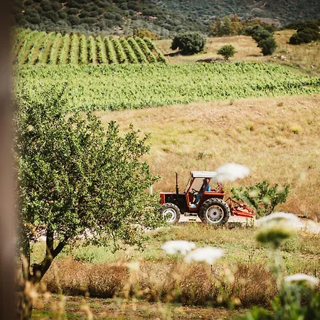 Villa Santu Martine With Pool *