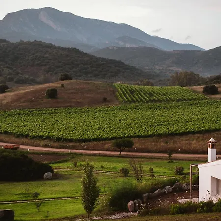 Villa Santu Martine With Pool *