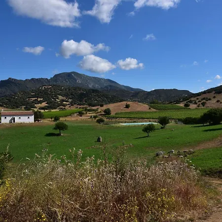 Santu Martine With Pool * Galtellì