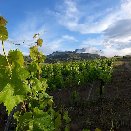 Villa Santu Martine With Pool *