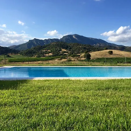 Villa Santu Martine With Pool Galtellì